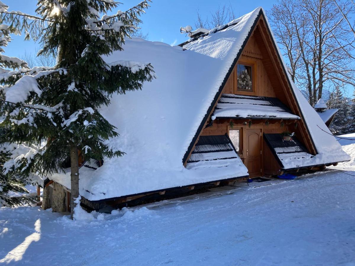 Mountain Dream Lägenhet Kościelisko Exteriör bild
